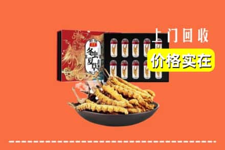 阿坝州壤塘回收冬虫夏草